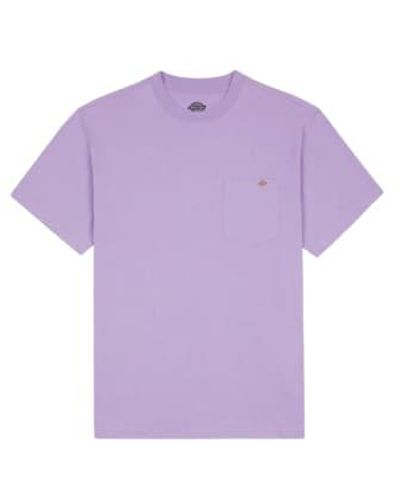 Dickies T Shirt Porterdale Uomo Rose Xl - Purple