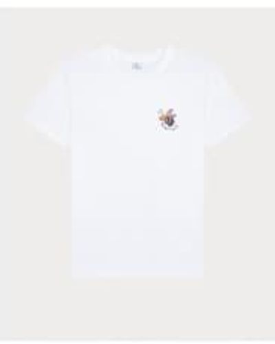 Paul Smith Bee Buzz Graphic T-shirt Col: 01 , Size: L M - White