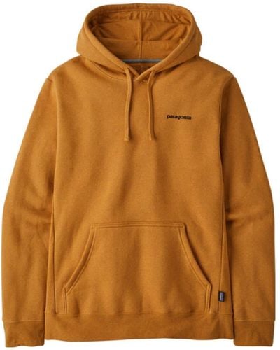 Patagonia Hoodies for Men | Online Sale up to 55% off | Lyst