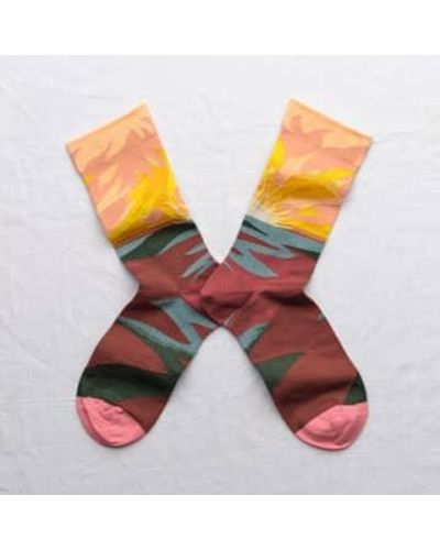 Bonne Maison Adobe Sun gedruckte Socken - Mehrfarbig