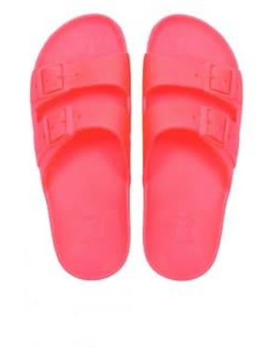 CACATOES Bahia in rosa fluo - Pink