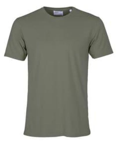 COLORFUL STANDARD Dusty Olive Classic Tee M - Green