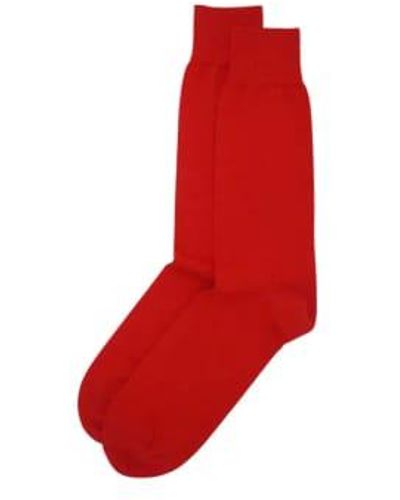 Peper Harow Classic Plain Cotton Socks Uk 6-13 - Red