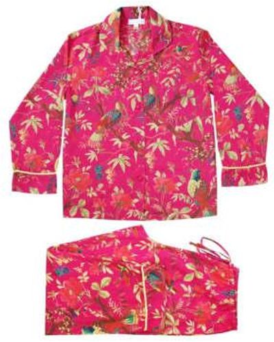 Powell Craft Ladies Hot Birds Of Paradise Print Cotton Pyjamas - Rosa