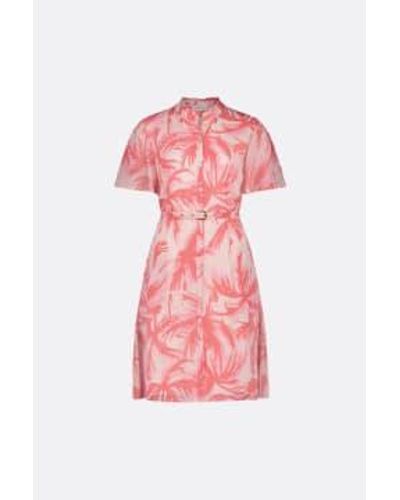 FABIENNE CHAPOT Myla Butterfly Dress Palmeraie Mini - Rosa