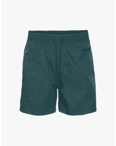 COLORFUL STANDARD Cs3010 clásicos pantalones cortos natación ocean - Verde