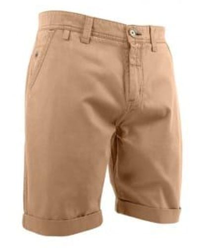 Billybelt First Horizon Mens Cotton Shorts In - Neutro