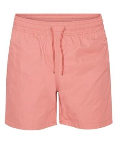 COLORFUL STANDARD Bright Coral Classic Swim Shorts S - Pink