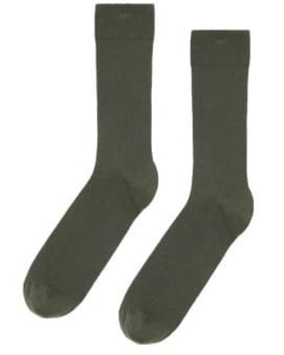 COLORFUL STANDARD Classic Organic Socks Dusty Olive Sandstone / One Size - Green