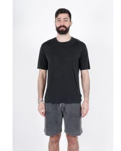 Daniele Fiesoli Cotton Silk Round Neck T Shirt Small - Black