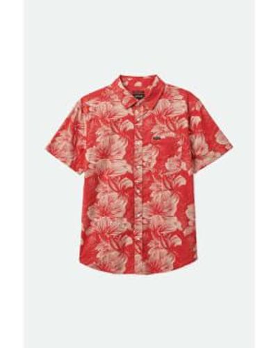 Brixton Camisa tejida manga corta con estampado floral color rojo y leche avena casa
