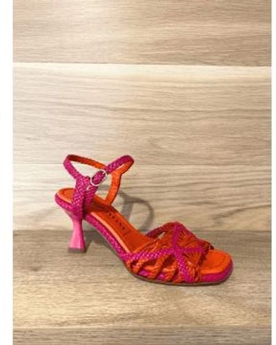 Pons Quintana Fidschi heeled sandalen rosa & orange - Rot