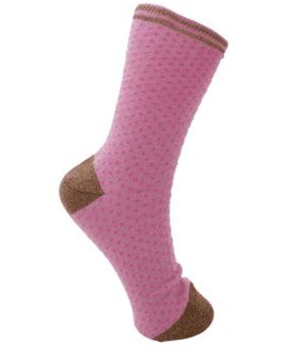 Black Colour Lolly Dot Sock Fairy Rose - Pink