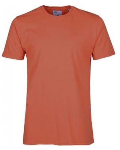 COLORFUL STANDARD CS1001 Klassischer Bio -T -Shirt Dark Bernstein - Orange