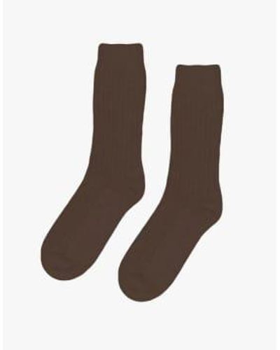 COLORFUL STANDARD Merino Blend Sock Coffee Brown / Os
