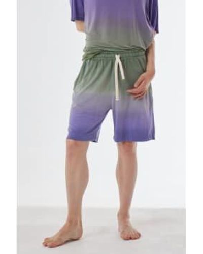 Daniele Fiesoli Linen Faded Design Shorts /purple Small - Green