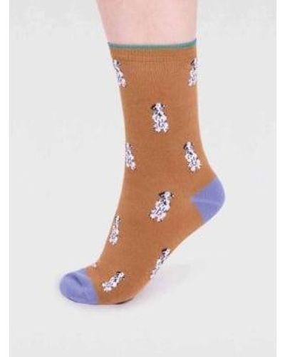 Thought Straw Spw798 Kenna Bamboo Dog Socks - Multicolor