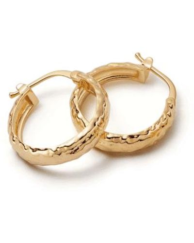 Daisy London Midi Textured Hoop Earrings Plated - Metallic