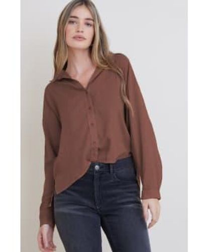Bella Dahl Office Long Sleeve High Low Hem Shirt Xs / Amber - Brown