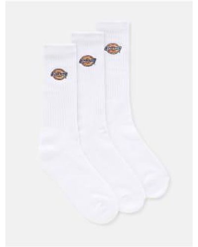 Dickies Chaussettes valley grove - Blanc