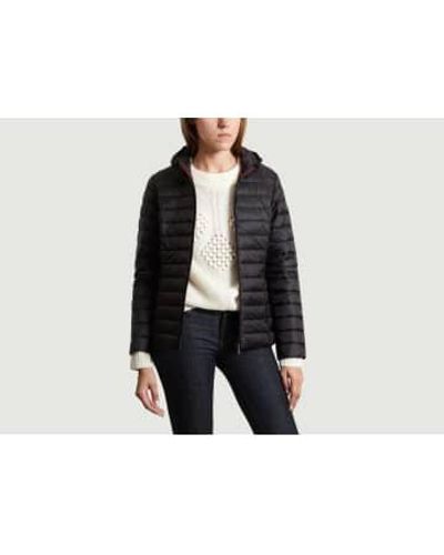 Just Over The Top Blue Cloe Padded Jacket - Black