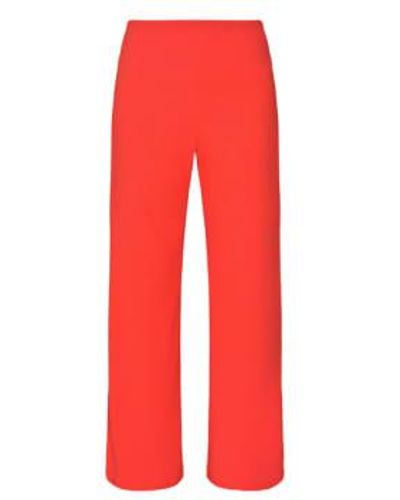 Sisters Point Neat Pants Raspberry L - Red