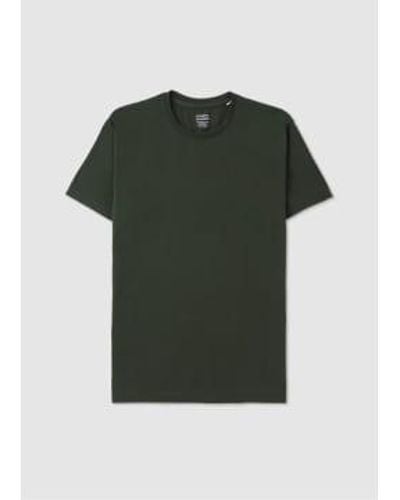 COLORFUL STANDARD Mens Classic Organic T Shirt In Hunter - Verde