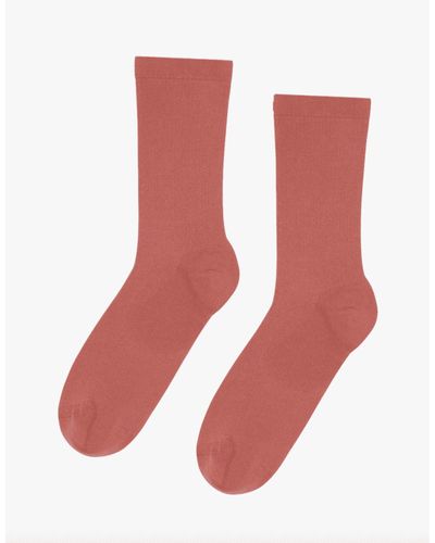 Colorful Standard Organic Cotton Active Socks 36 - 40 - Ex-Voto