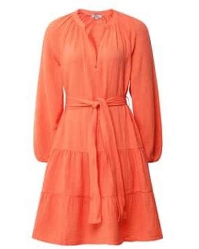 Not Specified Rails Aureta Dress Papaya - Orange