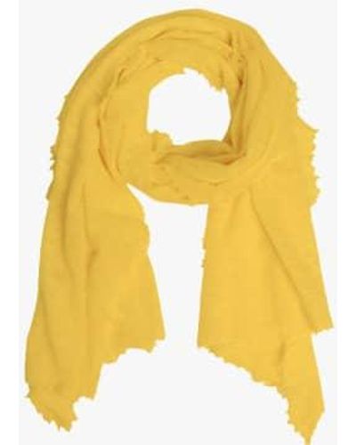 PUR SCHOEN Sun Hand Felted Cashmere Soft Scarf + Gift - Yellow