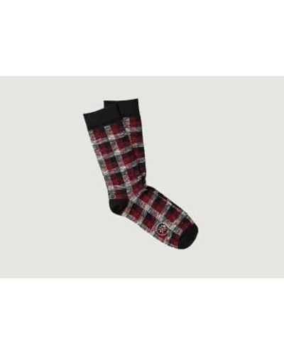 Royalties Calcetines Chaussettes Harvey - Negro