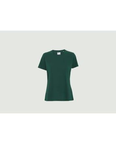 COLORFUL STANDARD Light Organic T Shirt 1 - Verde