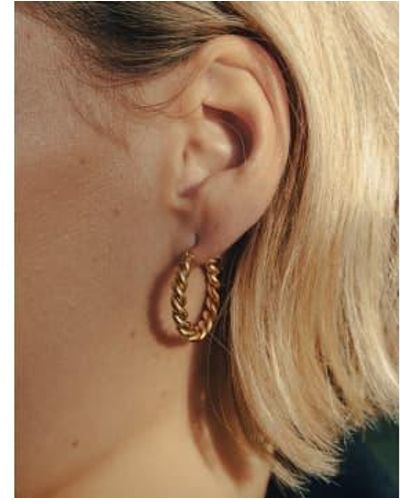 Nordic Muse Small Twist Hoop Earrings, 18k Tarnish-free Waterproof - Brown