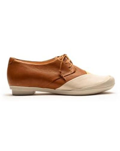 Tracey Neuls Geek Trio Mixed Nuts Or Leather Sneaker - Marrone