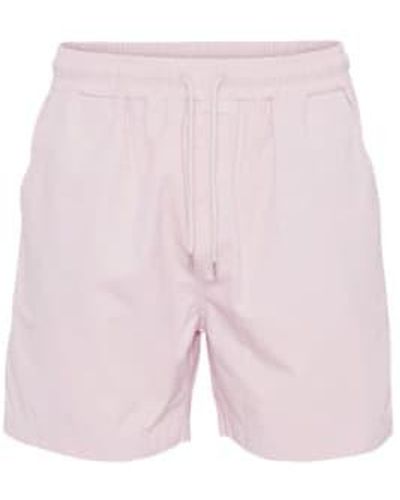 COLORFUL STANDARD Pantalón corto sarga orgánica rosa desteñido - Morado