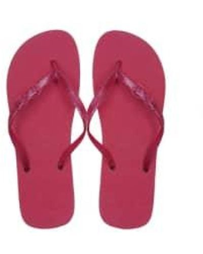 CACATOES Morango Jellya Flip Flops Raspberry - Pink