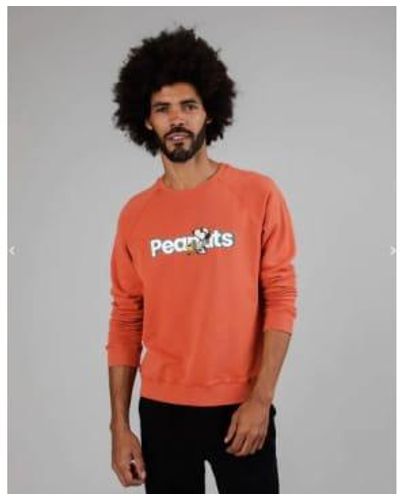 Brava Fabrics Snoopy And Woodstock Embroide Sweatshirt With Peanuts Print Size M - Orange