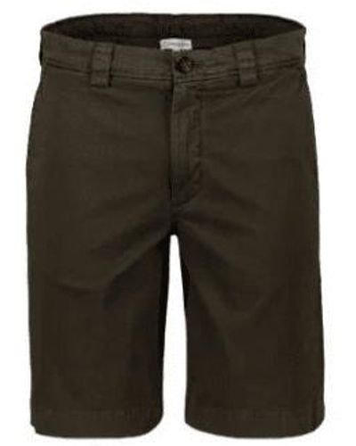 Woolrich Klassische chino -shorts dunkelgrün