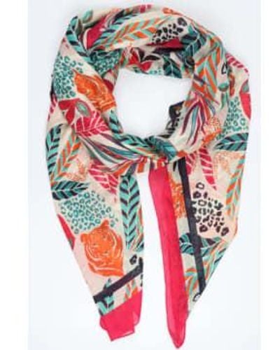 Miss Shorthair LTD Miss Shorthair 3150Hp Cotton Jungle And Tiger Head Print Scarf With Border In Hot - Rosso