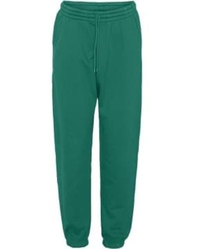 COLORFUL STANDARD Cs1011 pantalon survêtement organique classique - Vert