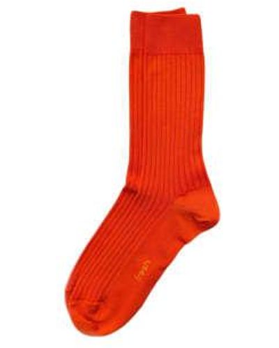 Fresh Cotton Mid-calf Lenght Socks - Red