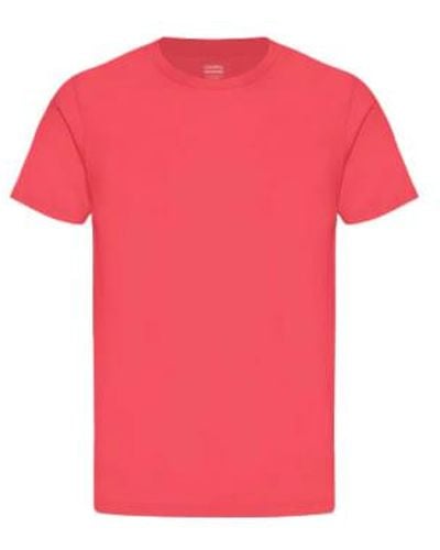 COLORFUL STANDARD T-shirt organique classique rouge mandarine - Rose