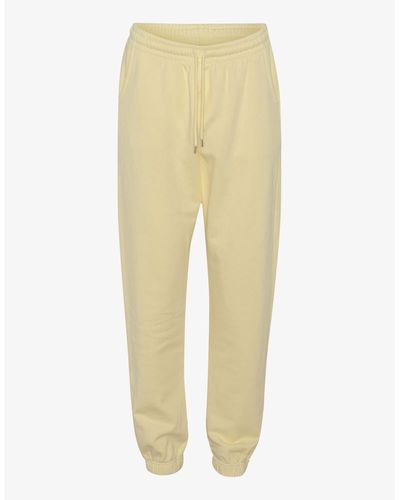 COLORFUL STANDARD Soft Yellow Organic Sweatpants - Giallo