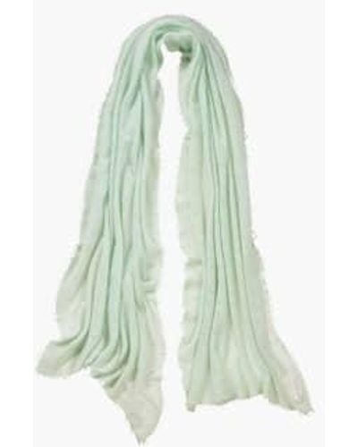 PUR SCHOEN Hand Felted Cashmere Soft Scarf + Gift Wool - Green