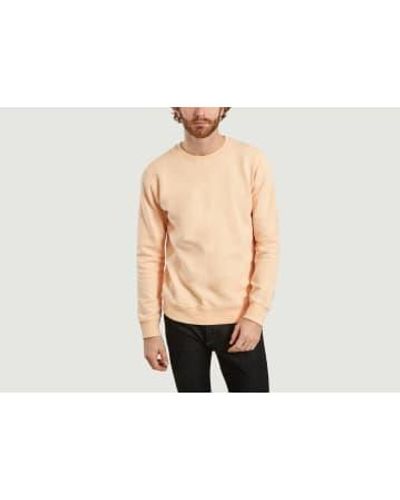COLORFUL STANDARD Peach Classic Organic Cotton Sweatshirt Xs - Natural