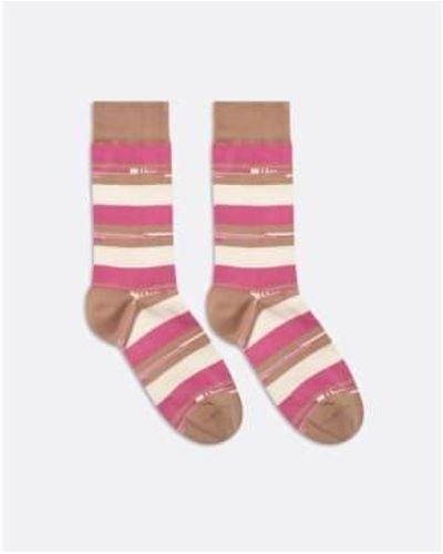 Far Afield Afsk216 Embroidered Socks In Off - Rosa