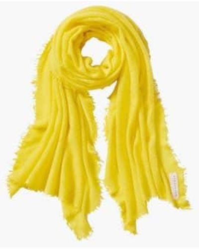 PUR SCHOEN Hand Felted Cashmere Soft Scarf Lemon + Gift - Yellow