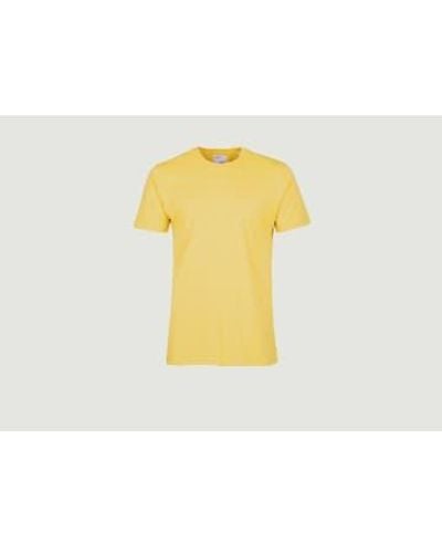 COLORFUL STANDARD T-shirt classique en coton biologique - Jaune