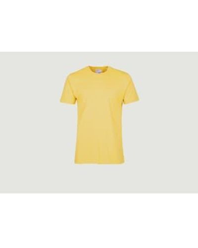 COLORFUL STANDARD Organic Cotton Classic T Shirt Xs - Yellow