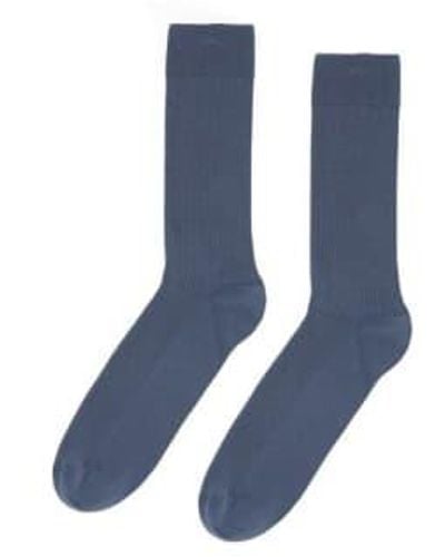 COLORFUL STANDARD Classic Organic Sock Blue -one Size
